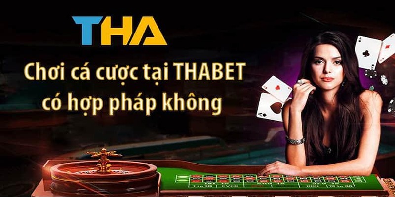 Sự thật về tin đồn THABET lừa đảo hội viên